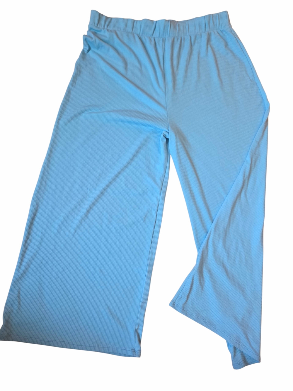 Dressed in LALA Sky Blue Wide-Leg Pants